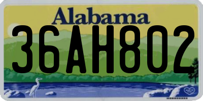 AL license plate 36AH802