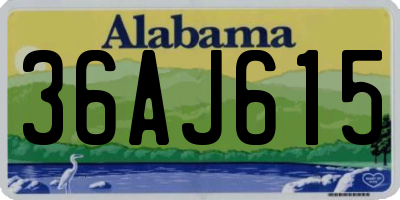 AL license plate 36AJ615