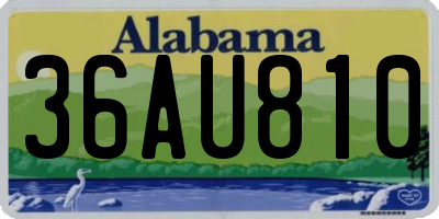 AL license plate 36AU810