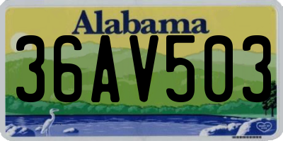 AL license plate 36AV503