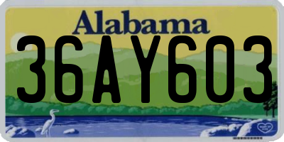 AL license plate 36AY603