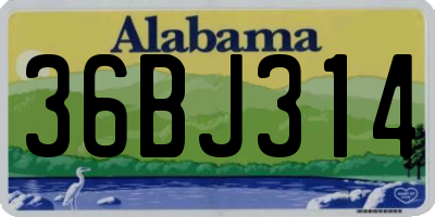AL license plate 36BJ314