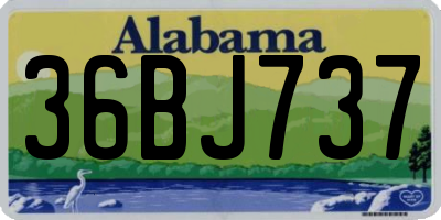 AL license plate 36BJ737