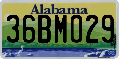 AL license plate 36BM029