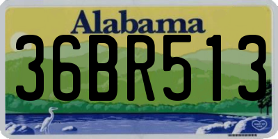 AL license plate 36BR513