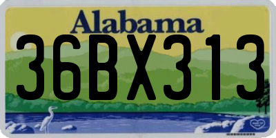 AL license plate 36BX313
