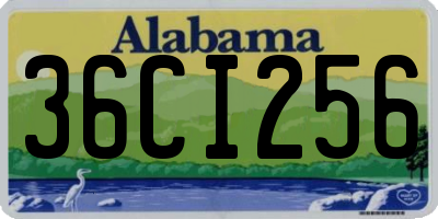 AL license plate 36CI256