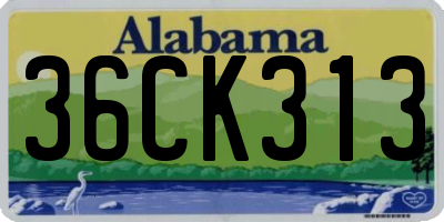 AL license plate 36CK313