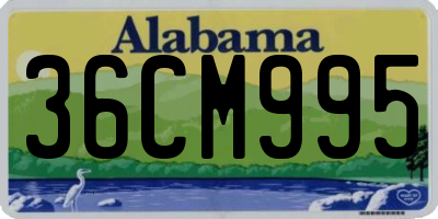 AL license plate 36CM995