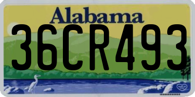 AL license plate 36CR493