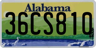 AL license plate 36CS810