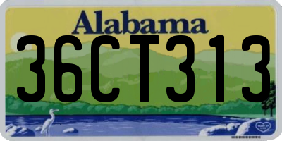 AL license plate 36CT313