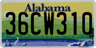 AL license plate 36CW310
