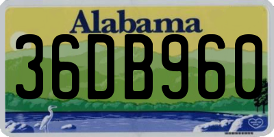 AL license plate 36DB960