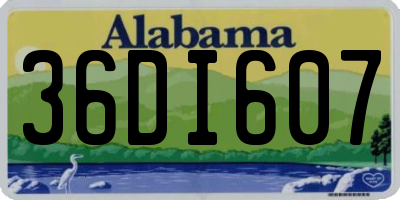 AL license plate 36DI607