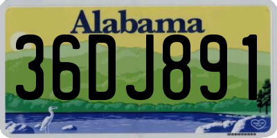 AL license plate 36DJ891