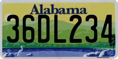 AL license plate 36DL234
