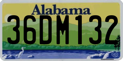 AL license plate 36DM132