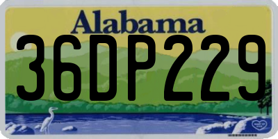 AL license plate 36DP229