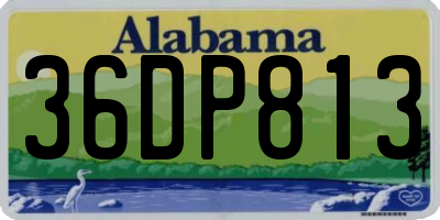 AL license plate 36DP813
