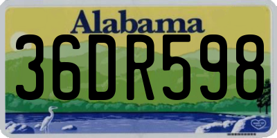 AL license plate 36DR598