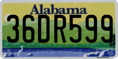 AL license plate 36DR599