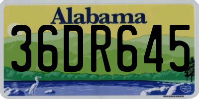 AL license plate 36DR645