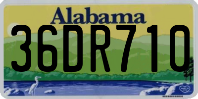 AL license plate 36DR710