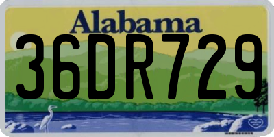 AL license plate 36DR729