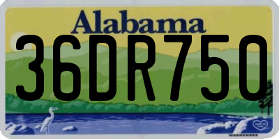 AL license plate 36DR750