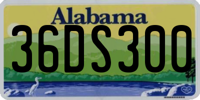 AL license plate 36DS300