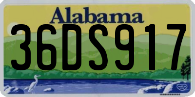 AL license plate 36DS917