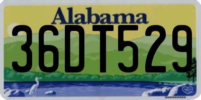 AL license plate 36DT529