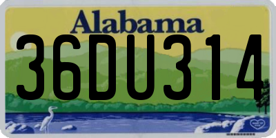 AL license plate 36DU314