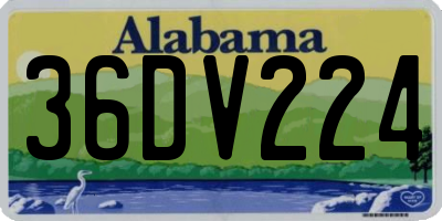 AL license plate 36DV224
