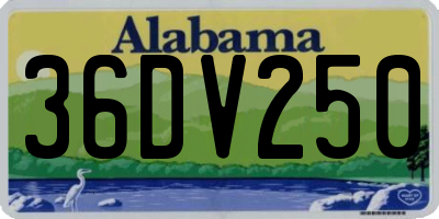 AL license plate 36DV250