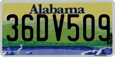 AL license plate 36DV509