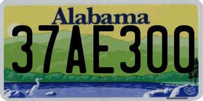 AL license plate 37AE300