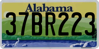 AL license plate 37BR223
