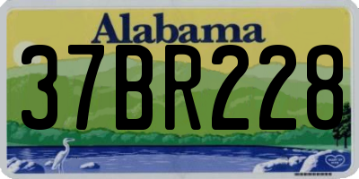 AL license plate 37BR228