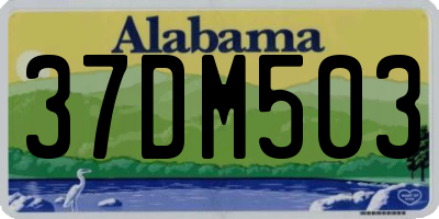 AL license plate 37DM503