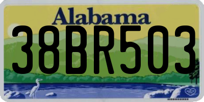 AL license plate 38BR503