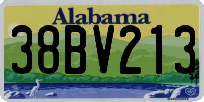 AL license plate 38BV213
