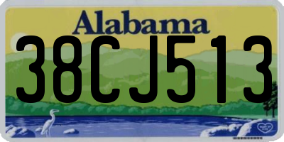AL license plate 38CJ513