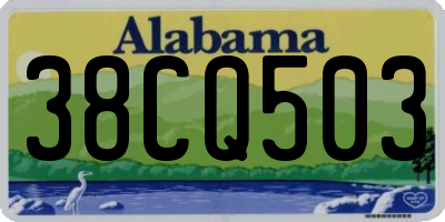 AL license plate 38CQ503