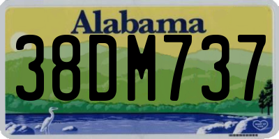 AL license plate 38DM737