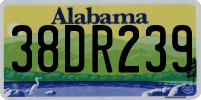 AL license plate 38DR239