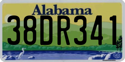 AL license plate 38DR341