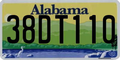 AL license plate 38DT110