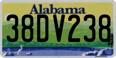 AL license plate 38DV238